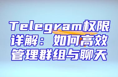 Telegram权限详解：如何高效管理群组与聊天