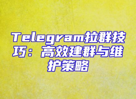 Telegram拉群技巧：高效建群与维护策略