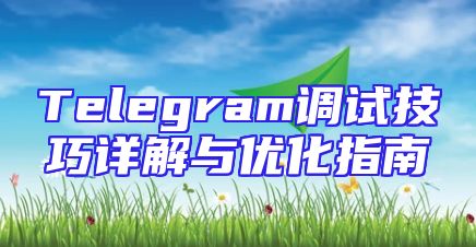 Telegram调试技巧详解与优化指南