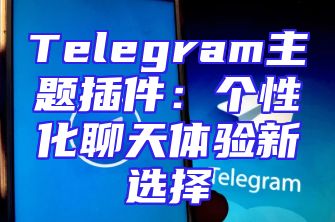 Telegram主题插件：个性化聊天体验新选择