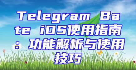 Telegram Bate iOS使用指南：功能解析与使用技巧