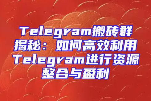 Telegram搬砖群揭秘：如何高效利用Telegram进行资源整合与盈利