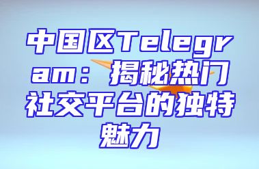 中国区Telegram：揭秘热门社交平台的独特魅力